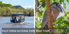 Palo Verde River Boat Tour
