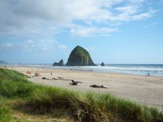 The Perfect 10-Day Road Trip Itinerary for Oregon in Summer