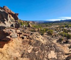 Ancient African rock art at Bushman’s Kloof in South Africa