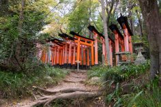 How to Hike the “Secret Back Way Trail” Up Fushimi Inari