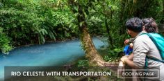 Rio Celeste Tour With Transportation (Tenorio Volcano National Park)