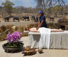 A new chapter for Thornybush: The reimagining of Kubili House