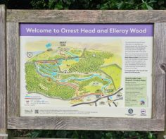 A short but rewarding Lake District walk: Orrest Head, Windermere, UK