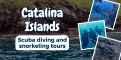 Catalina Islands (Islas Catalina): Scuba Diving,  Snorkeling and Boat Trips