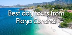 Best Day Trips from Westin Conchal and Our Favorite Things to Do on Conchal Beach