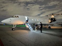 How We Moved Our Cat from the US to UK with Vicuna Air