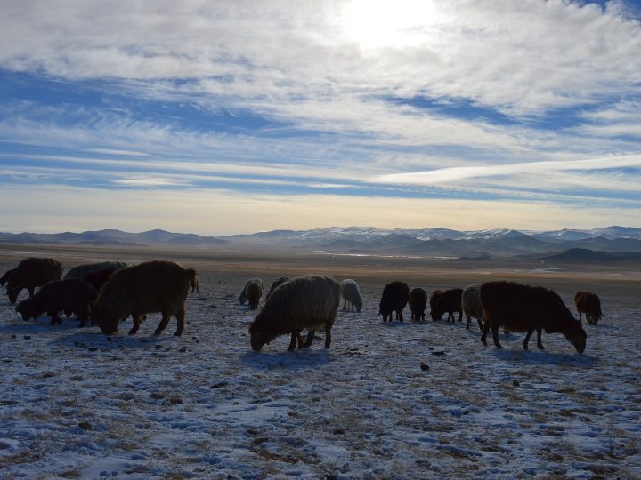 A Mongolian Bus Ride To Remember