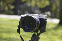 Panasonic GX8 Review: a Near-Perfect Travel Camera