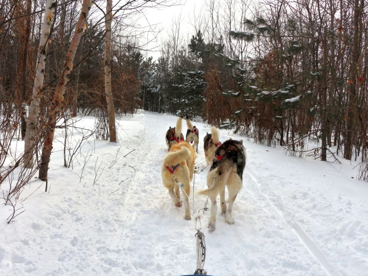 Learning To Befriend Winter In Quebec