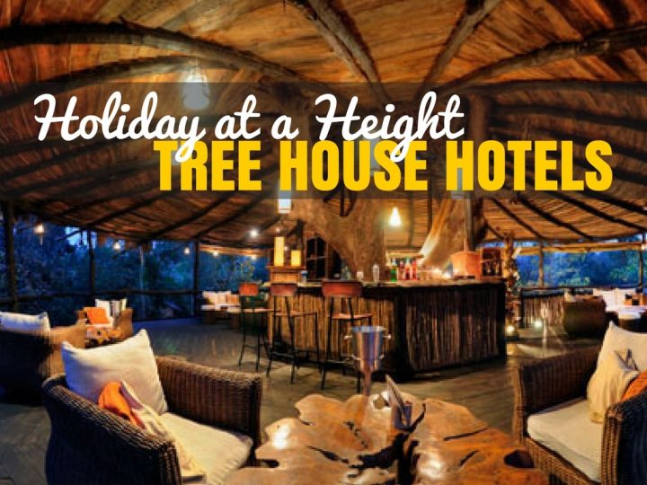 Why Not Consider a Tree House Hotel For Your Next Break
