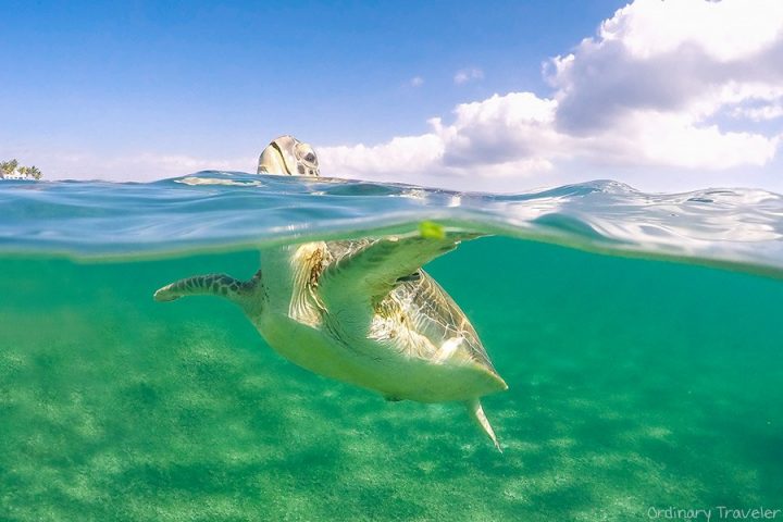 10 Epic Photos of Mexico’s Yucatán Peninsula • Ordinary Traveler