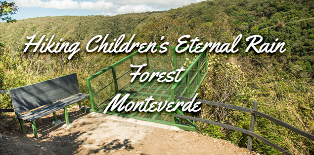 Hiking Children’s Eternal Rain Forest in Monteverde: Bajos del Tigre Station