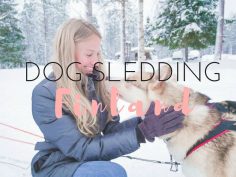 Husky Love: Dog Sledding in Finland (SO Amazing!)