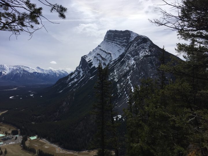 Hiking Tunnel Mountain Banff – Best easy hike in the park