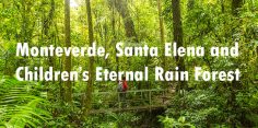 Which Monteverde Cloud Forest Should You Visit? A Look at Children’s Eternal Rain Forest, Monteverde and Santa Elena Cloud Forest Reserve
