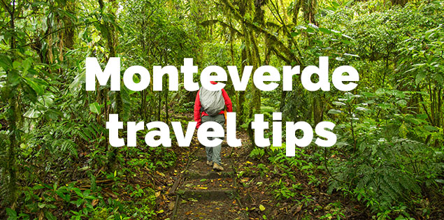 Information About Visiting the Cloud Forests