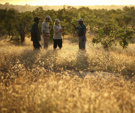 Walking in Tanzania – A Luxury Travel Blog