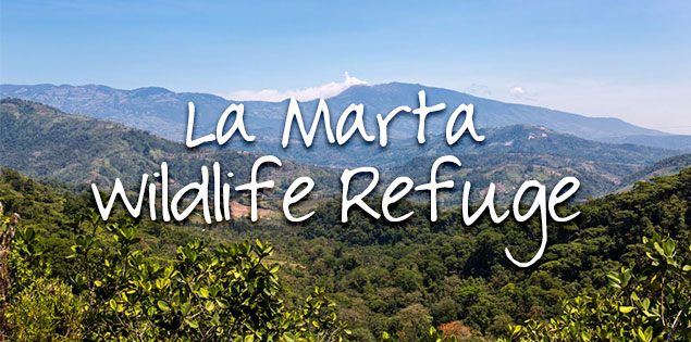 Guide to Visiting La Marta Wildlife Refuge in Turrialba