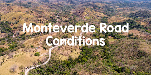 Monteverde Road Conditions – Driving to Santa Elena and Around Monteverde