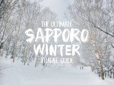 The Ultimate Sapporo Winter Travel Guide