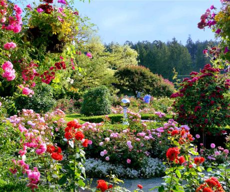 Springtime and flowers: gardens to visit in North America