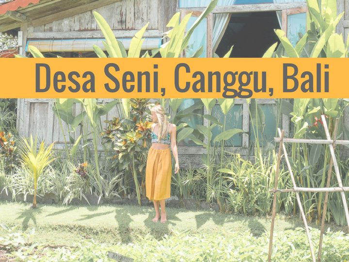 Where to Stay in Canggu to Get That Bali Experience