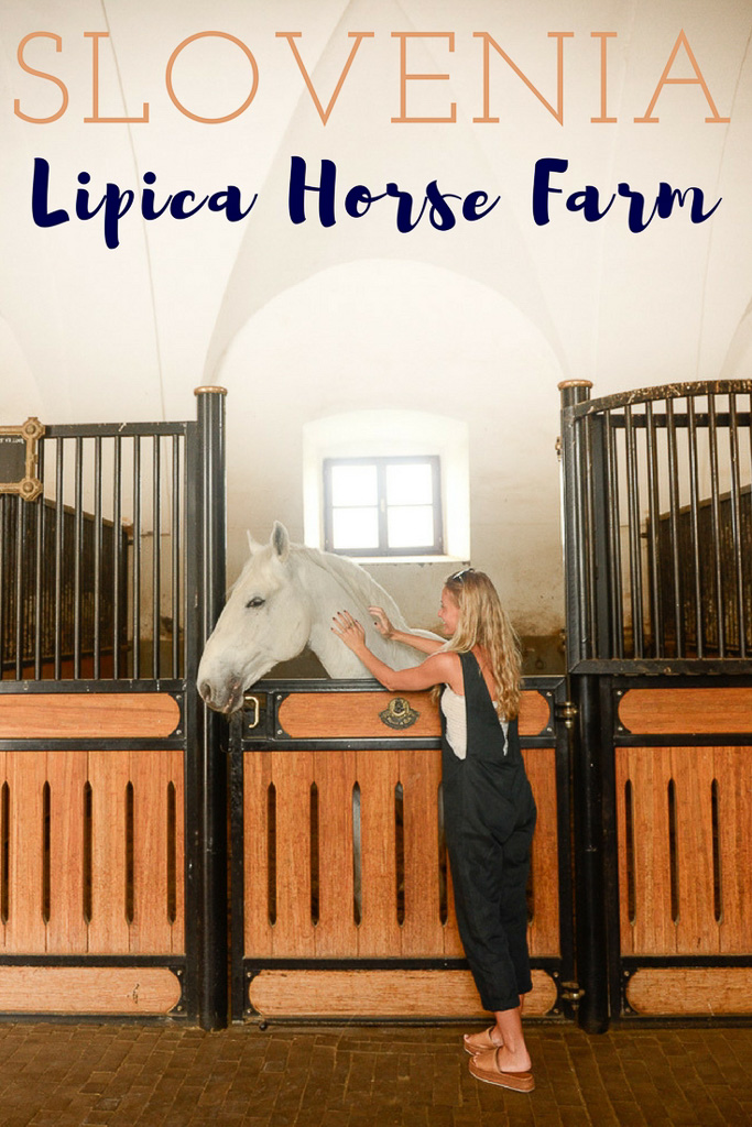 An Unexpected Stop at Lipica Horse Stables