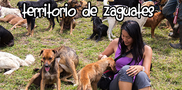 Territorio de Zaguates in Costa Rica Photo Post and Tips