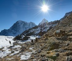 Mount Everest Base Camp to get a luxury hotel, helipad, restaurants and a museum