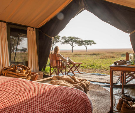 5 of the best safaris in Africa