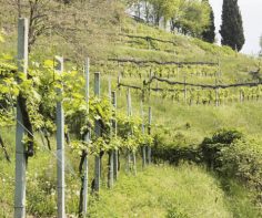 Delicious drives in Italy: Milan to Scanzorosciate