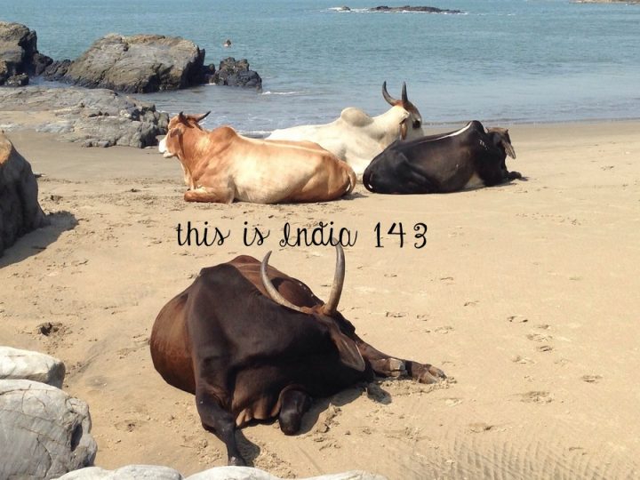 This is India! 143 – Hippie In Heels