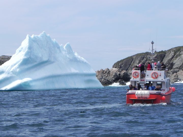 5 reasons you *must* visit Newfoundland