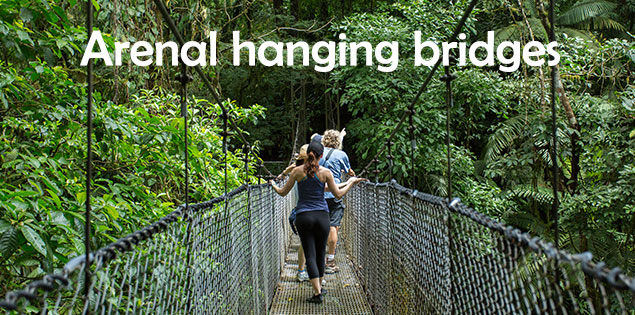 Experience the Arenal Rain Forest at Mistico Arenal Hanging Bridges