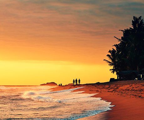 Top tips for visiting Sri Lanka