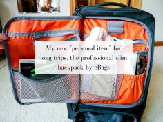 eBags Professional Slim Laptop Backpack Review: My New “Personal Item”