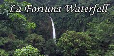 Hike 400+ Steps to See the La Fortuna Waterfall in Arenal