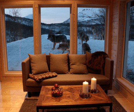 5 of the best hotels in Arctic Europe