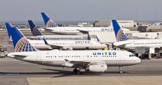 New United sweet spot: 8,000 miles for intra-region flights