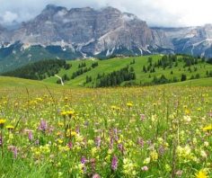 A perfect day in Italy’s Dolomites mountains for ages 2 – 72