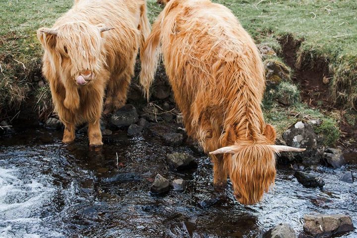 What to Pack for a Trip to Scotland • Ordinary Traveler