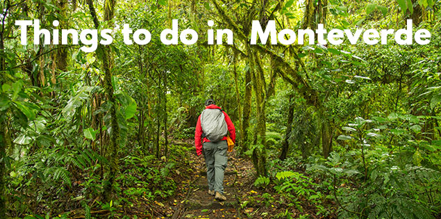 7 Incredible Things to do in Monteverde Cloud Forests