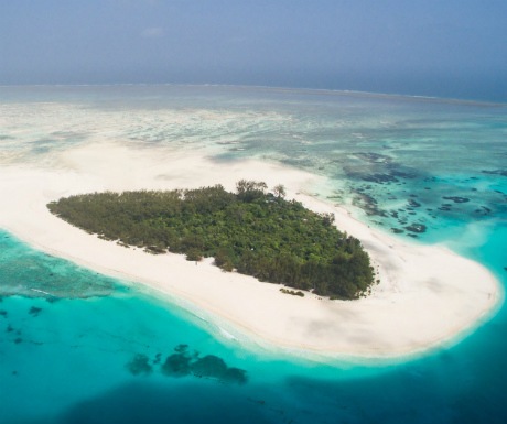 5 paradisiacal dive sites in Zanzibar
