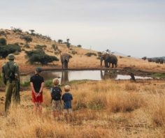 7 reasons to take your children to Africa