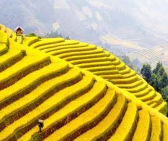 7 natural wonders you must see in Vietnam