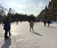 The best Winter sport places in and around Vienna