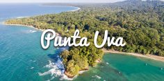 Punta Uva Puerto Viejo Costa Rica Visitor’s Guide