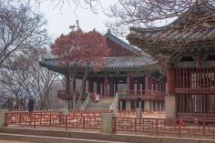 A 10-Day South Korea Winter Itinerary