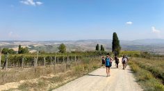 Via Francigena: The Ultimate Walking Tour in Tuscany