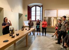 Chianti Wine Tour: Origins of an Italian Wine in Tuscany